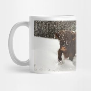 Scottish Highland Cattle Calf 1911 Mug